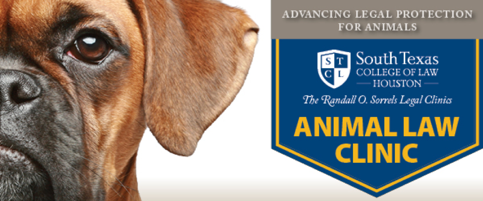 Animal Welfare Leaders to Unite at South Texas Law – South Texas College of  Law Houston