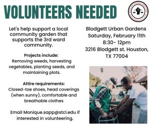 Volunteers needed at Blodgett Urban Gardens